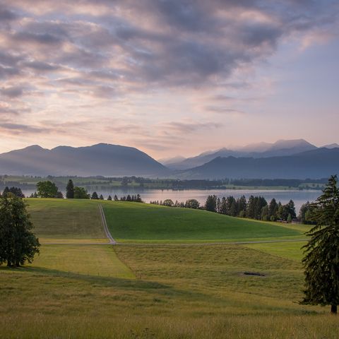 Abendstimmung bei Rieden am Forggensee Abendstimmung bei Rieden am Forggensee im Ostallgäu.