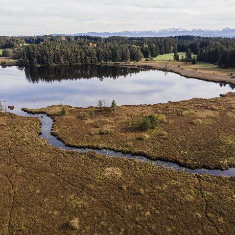 Luftaufnahme vom Elbsee bei Ruderatshofen Luftaufnahme vom Elbsee und dessen Zulauf bei Ruderatshofen im Ostallgäu.