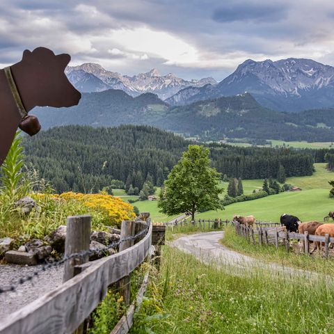 Ausblick von der Schlossbergalm bei Eisenberg Ausblick von der Schlossbergalm bei Eisenberg-Zell im Ostallgäu auf die Allgäuer Alpen.