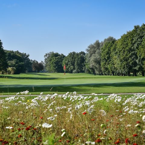 Golfplatz bei Rieden-Zellerberg Golfplatz bei Rieden-Zellerberg im Ostallgäu.
