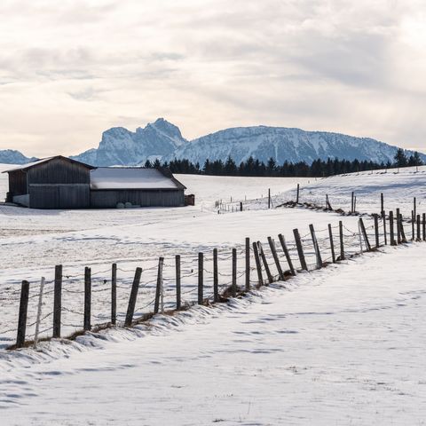 Ausblick auf die Ostallgäuer Berge von der Familienrunde bei Lengenwang Ein verschneites Feld bei Lengenwang, dahinter die Allgäuer Berge