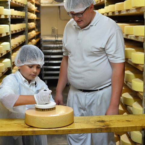 Zu Besuch in der Sennerei Lehern Zu Besuch in der Sennerei Lehern in der Hopferau im Ostallgäu.