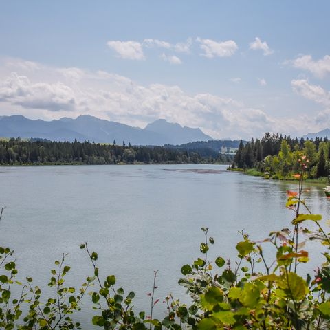 Lechstausee bei Prem am Lech Lechstausee bei Prem am Lech