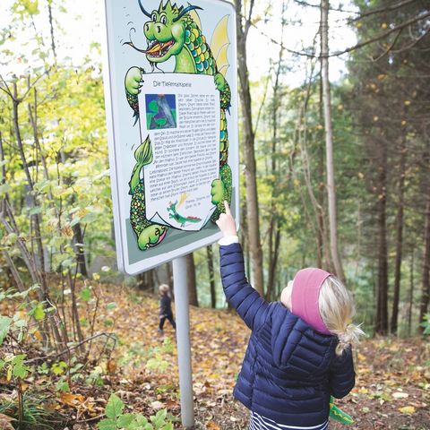 Infotafel entlang des Drachenweges Kind betrachtet eine Infotafel entlang des Drachenweges bei Roßhaupten im Ostallgäu.