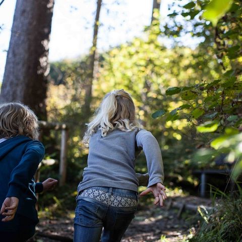 Unterwegs im Wald Kinder unterwegs im Wald rund um Marktoberdorf im Ostallgäu.