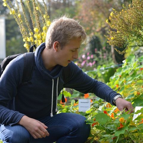 Pflanzen betrachten im Klostergarten Pflanzen betrachten im Klostergarten Kaufbeuren im Ostallgäu.