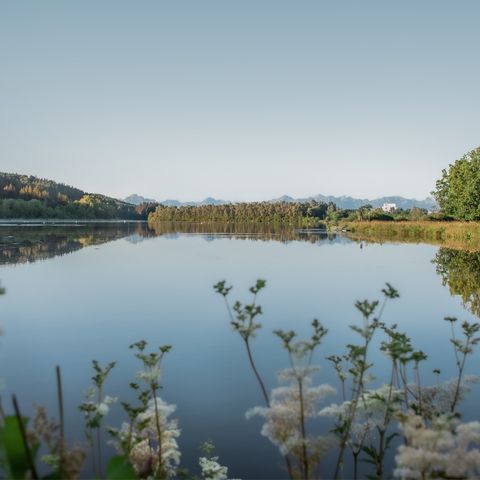 Bachtelsee bei Biessenhofen Bachtelsee bei Biessenhofen im Ostallgäu.