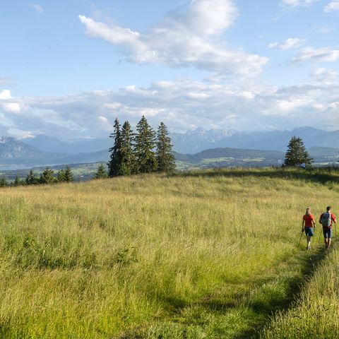 Wandern am Auerberg bei Stötten Wandern mit Ausblick am Auerberg bei Stötten im Ostallgäu.