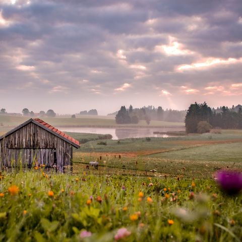 Morgenstimmung am Schwaltenweiher bei Rückholz Morgenstimmung am Schwaltenweiher bei Rückholz im Ostallgäu.