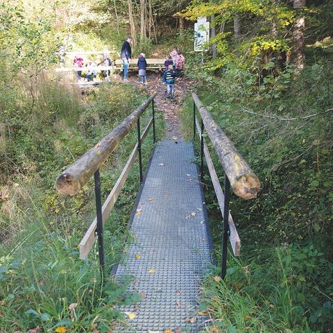 Steg über den Bach auf dem Drachenweg Steg über den Bach auf dem Drachenweg bei Roßhaupten im Ostallgäu.