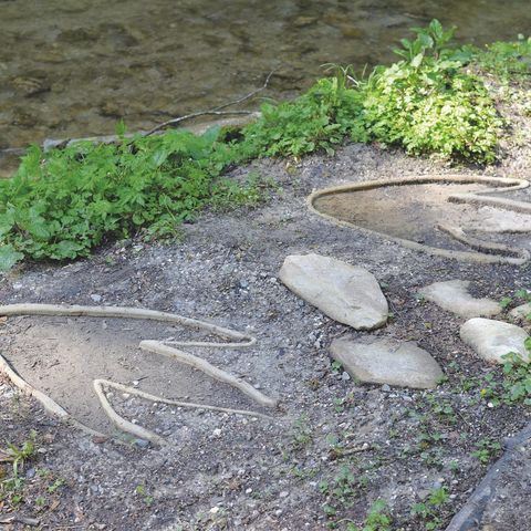 Spuren des Drachen bei Roßhaupten Spuren des Drachen auf dem Drachenweg bei Roßhaupten im Ostallgäu.