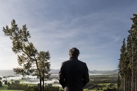 Ausblick vom Buffernandel am Auerberg Ausblick vom Buffernandel am Auerberg auf den Schlosspark und die Ammergauer und Allgäuer Alpen.