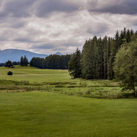 Wiesen und Wälder bei Wald im Ostallgäu Wiesen und Wälder bei Wald im Ostallgäu.