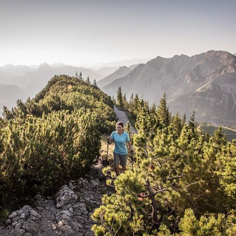 Wanderweg zum Gipfel des Breitenbergs Wanderweg zum Gipfel des Breitenbergs bei Pfronten im Ostallgäu.