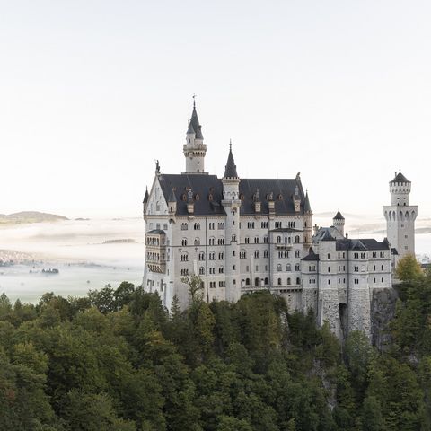 Schloss Neuschwanstein Blick auf Schloss Neuschwanstein bei Schwangau im Ostallgäu mit Nebel bedecktem Umland.