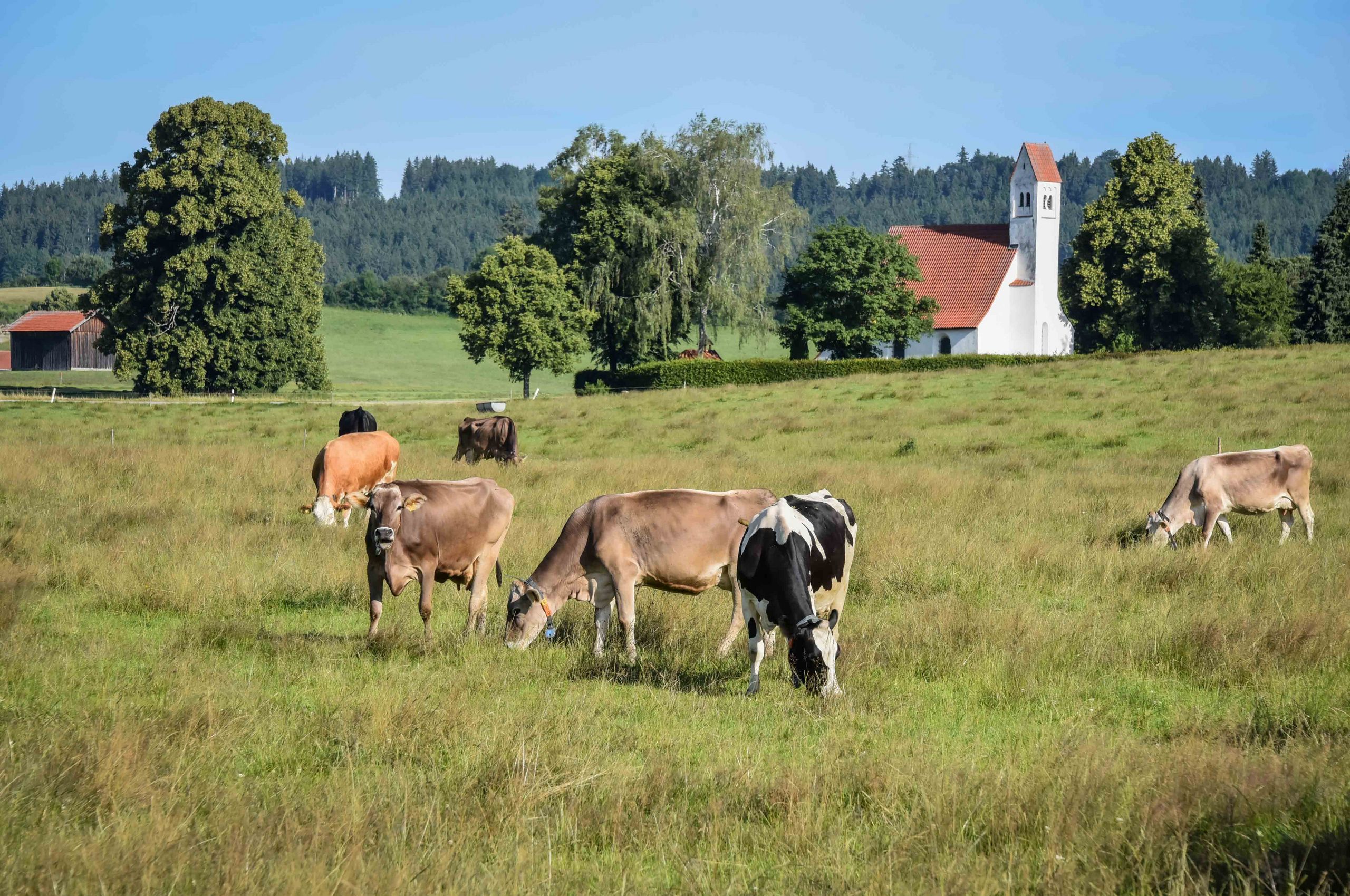 Ruderatshofen im Ostallgäu