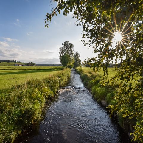 Glitzernder Bach in der Nähe von Aitrang Glitzernder Bach in der Nähe von Aitrang im Ostallgäu.