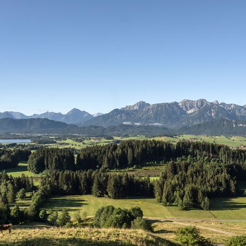 Blick vom Beichelstein bei Seeg auf die Allgäuer Alpen Blick vom Beichelstein bei Seeg im Ostallgäu auf die Allgäuer Alpen.