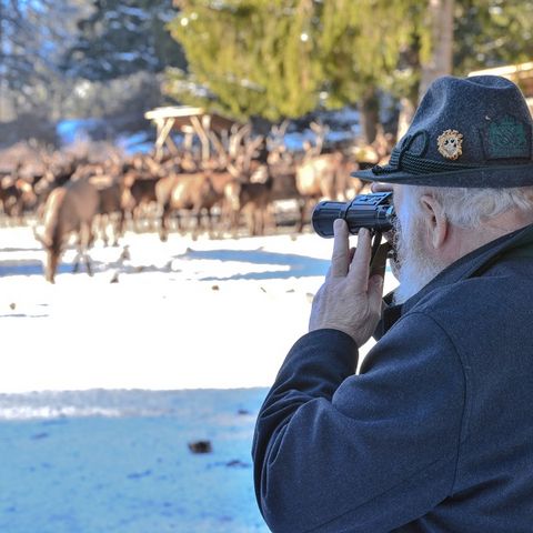 Besucher mit Fernglas bei der Hirschfütterung am Bannwaldsee Besucher mit Fernglas bei der Hirschfütterung am Bannwaldsee bei Schwangau im Ostallgäu.