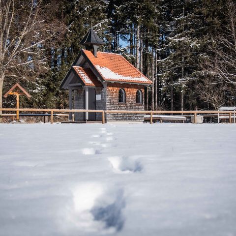 Kapelle bei Biessenhofen  Kapelle bei Biessenhofen im Ostallgäu bei traumhaften Winterverhältnissen.