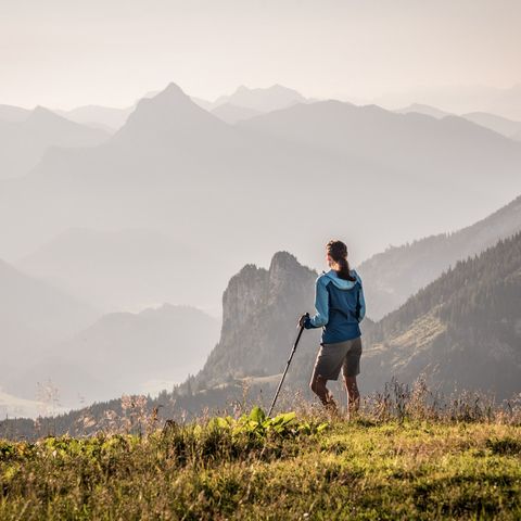 Ausblick vom Breitenberg aufs Ostallgäu Wanderin genießt den Ausblick vom Breitenberg bei Pfronten aufs Ostallgäu.
