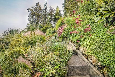 Klostergarten Kaufbeuren Treppe und blühende Kräuter und Blumen im Klostergarten Kaufbeuren im Ostallgäu.