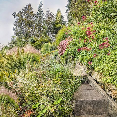 Klostergarten Kaufbeuren  Treppe und blühende Kräuter und Blumen im Klostergarten Kaufbeuren im Ostallgäu.