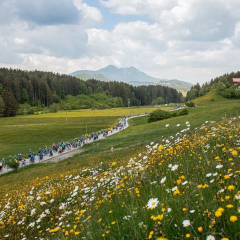 Abseits der Hauptverkehrsstraßen führte die Genussrunde durch die wunderschöne Landschaft des südlichen Ostallgäus.  Abseits der Hauptverkehrsstraßen führte die Genussrunde durch die wunderschöne Landschaft des südlichen Ostallgäus.