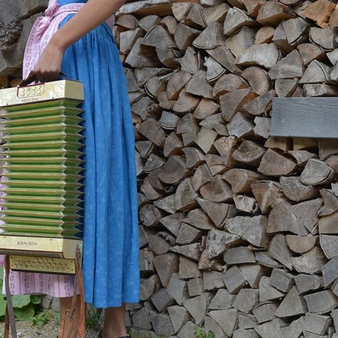 Instrument vor Holzstapel der Kenzenhütte Instrument vor Holzstapel der Kenzenhütte bei Halblech im Ostallgäu.
