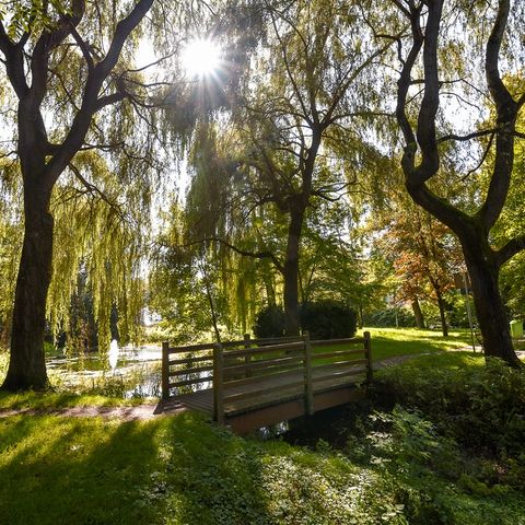 Buchloe im Ostallgäu