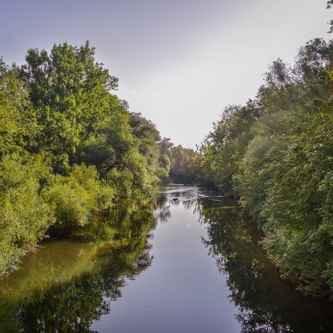 Wertach bei Pforzen Wertach bei Pforzen im Ostallgäu.