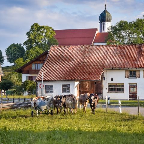 Pfarrkirche St. Georg in Rückholz Pfarrkirche St. Georg in Rückholz im Ostallgäu.