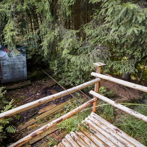 Moos-Erlebnis-Pfad Stötten Moos-Erlebnis-Pfad in Stötten am Auerberg im Ostallgäu.