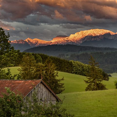 Alpenglühn mit Sicht auf die Hochplatte bei Halblech Schöner Sonnenuntergang mit Alpenglühn bei Halblech im Ostallgäu mit Sicht auf Bäume, Wiesen, einem kleinen Stadel und auf den Berg Hochplatte.