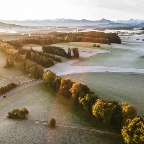 Ausblick über die Lindenallee bei Marktoberdorf Ausblick über die Lindenallee zu den Allgäuer und Ammergauer Alpen bei Marktoberdorf im Ostallgäu.